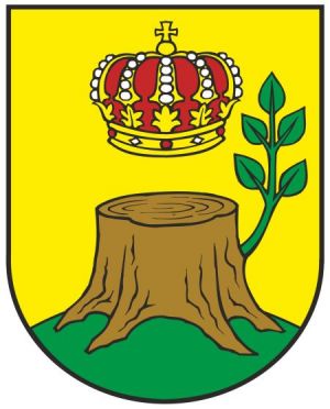Arms of Čaglin