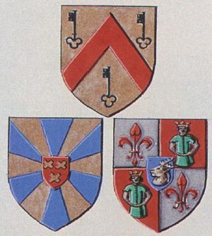 Wapen van Oeselgem/Arms (crest) of Oeselgem