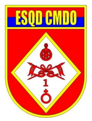 Headquarters Squadron, 1st Mechanized Cavalry Brigade, Brazilian Army.jpg