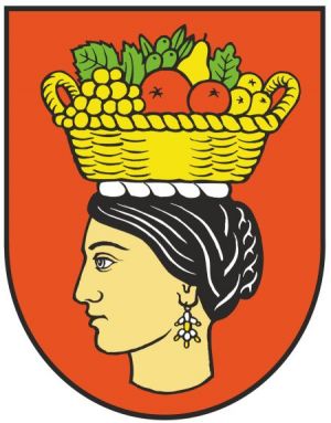 Arms of Župa Dubrovačka