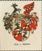 Wappen Freiherren von Rauber