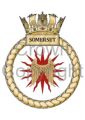 HMS Somerset, Royal Navy.jpg
