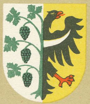 Arms of Środa Śląska