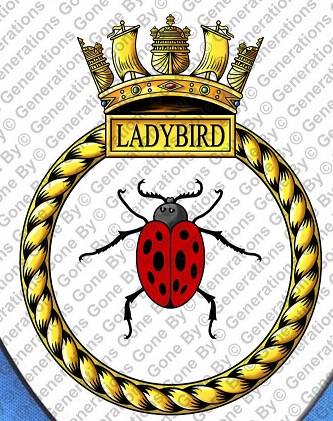 File:HMS Ladybird, Royal Navy.jpg