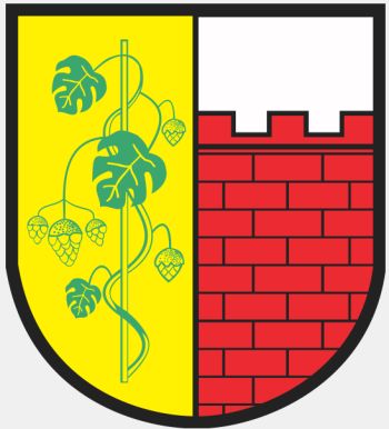 Arms of Witnica