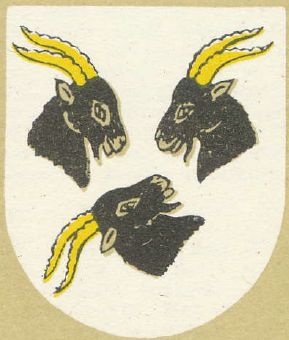 Arms of Koźle