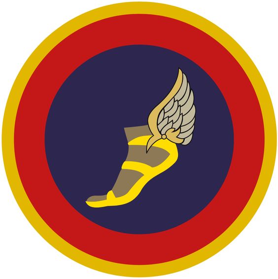 File:Aviation and Air Assault Division, Colombian Army.jpg