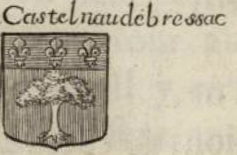 Arms of Castelnau-de-Brassac
