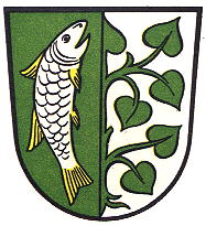 Wappen von Immenstadt im Allgäu/Arms (crest) of Immenstadt im Allgäu