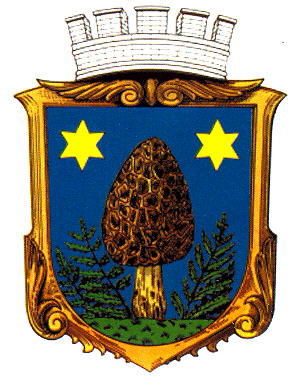 Coat of arms (crest) of Smržovka