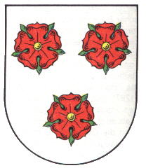 Wappen von Brandis / Arms of Brandis