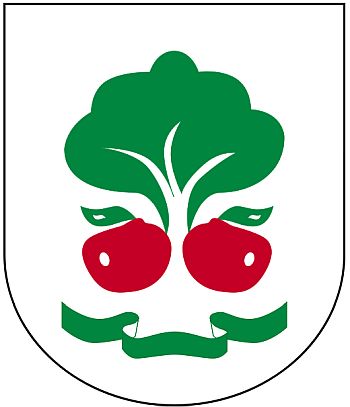 Coat of arms (crest) of Belsk Duży