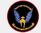 Coat of arms (crest) of the No 2 Squadron, South African Air Force