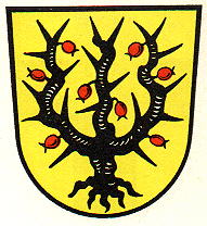 Wappen von Delbrück / Arms of Delbrück