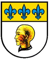 Arms of Borgnone