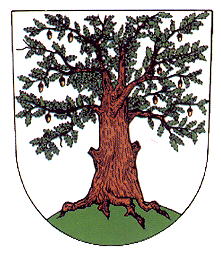 Coat of arms (crest) of Český Dub