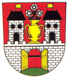 Coat of arms (crest) of Doupov