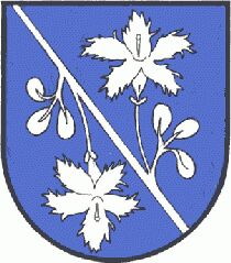 Wappen von Pichl-Kainisch/Arms (crest) of Pichl-Kainisch