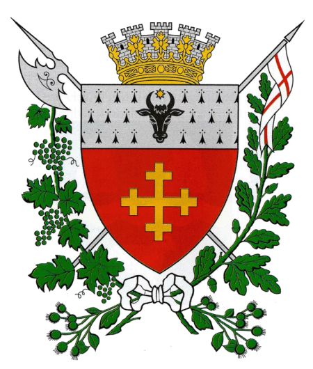 Coat of arms of Lăpușna