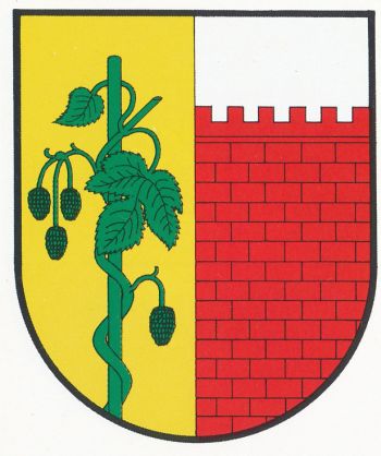 Arms of Witnica