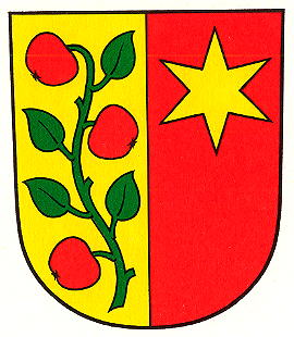 Wappen von Affoltern/Arms (crest) of Affoltern