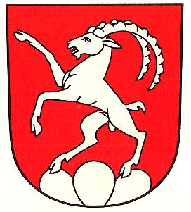 Wappen von Steinmaur/Arms (crest) of Steinmaur