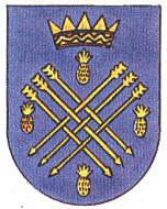 Coat of arms (crest) of Caguas