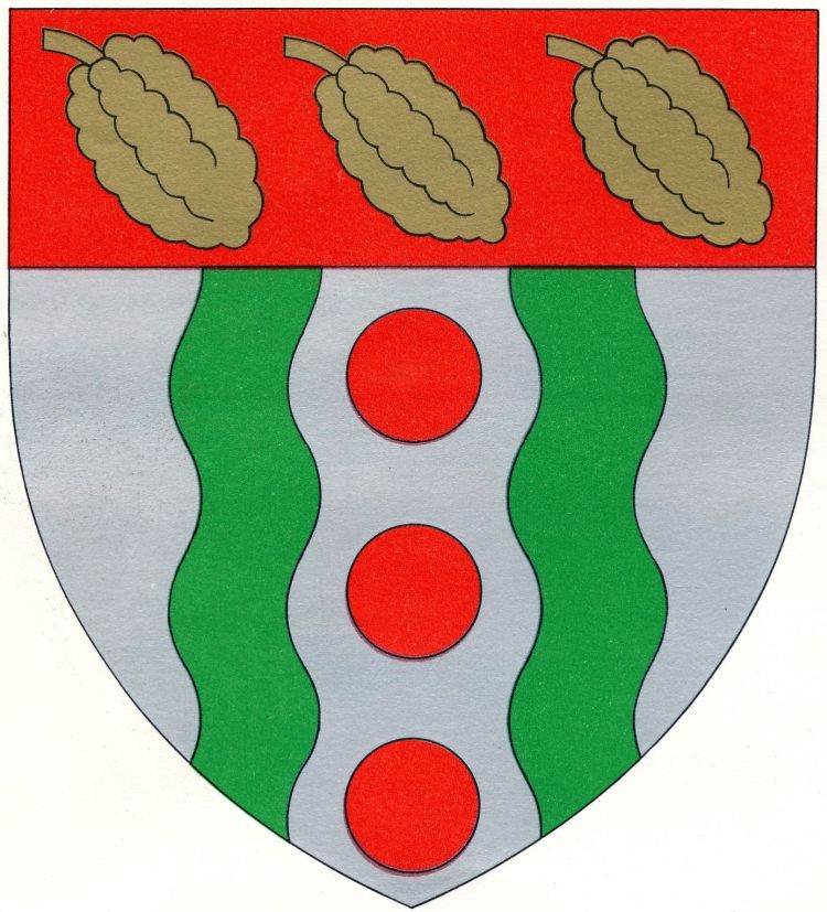 Coat of arms (crest) of Oyem