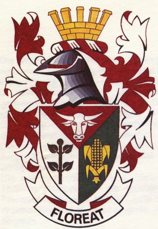 Coat of arms (crest) of Wolmaransstad