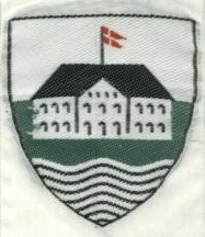 File:Marselisborg Division, YMCA Scouts Denmark.jpg