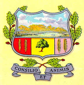 Arms of Kokstad