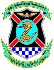 Coat of arms (crest) of the Special Operations Air Group No 10, Air Force of Venezuela