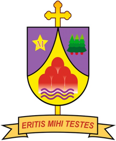 Arms (crest) of Diocese of El Alto