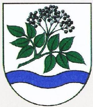 Arms of Trpín