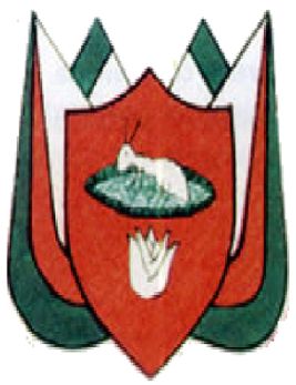 Brasão de Silves (Amazonas)/Arms (crest) of Silves (Amazonas)