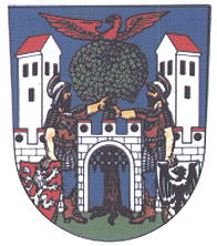 Coat of arms (crest) of Hostinné
