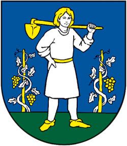 Coat of arms (crest) of Veľká Tŕňa