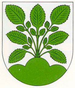 Wappen von Hasel/Arms of Hasel