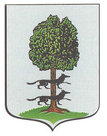 Escudo de Ubide/Arms of Ubide
