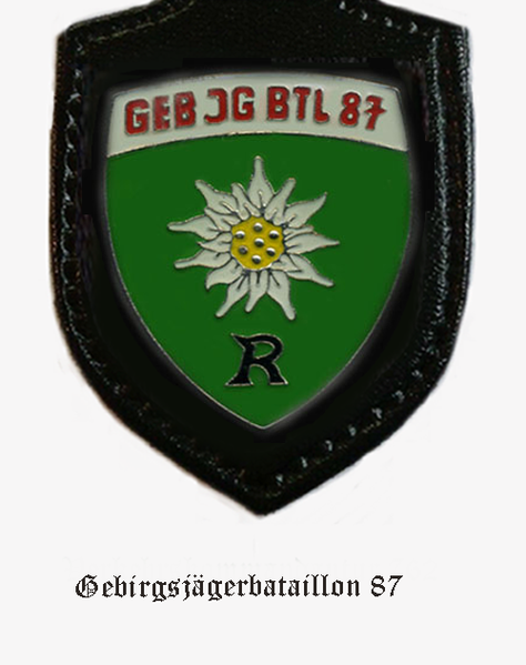 File:Mountain Jaeger Battalion 87, German Army.png