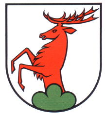 Wappen von Ammerswil