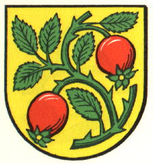 Wappen von Auendorf