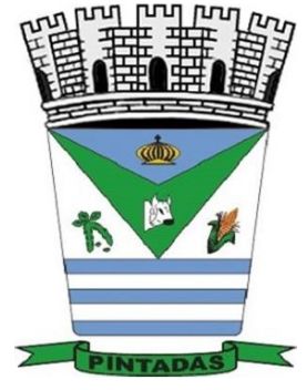 Brasão de Pintadas/Arms (crest) of Pintadas