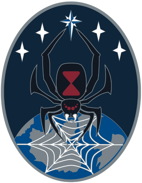 File:Operations Support Squadron (Provisional), US Space Force.png