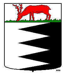 Arms of Bruinisse