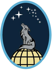 13th Delta Operations Squadron, US Space Force.png