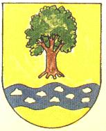 Coat of arms (crest) of Rio Piedras