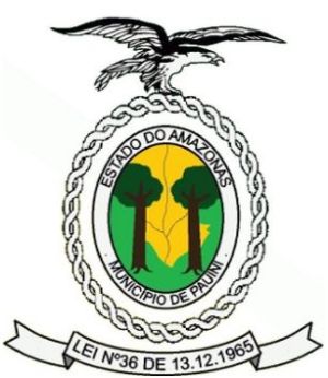 Brasão de Pauini/Arms (crest) of Pauini