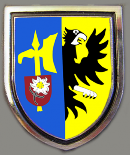 File:Mountain Pioneer Support Company 240, German Army.png
