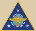 Commander Naval Air Forces, US Navy.jpg
